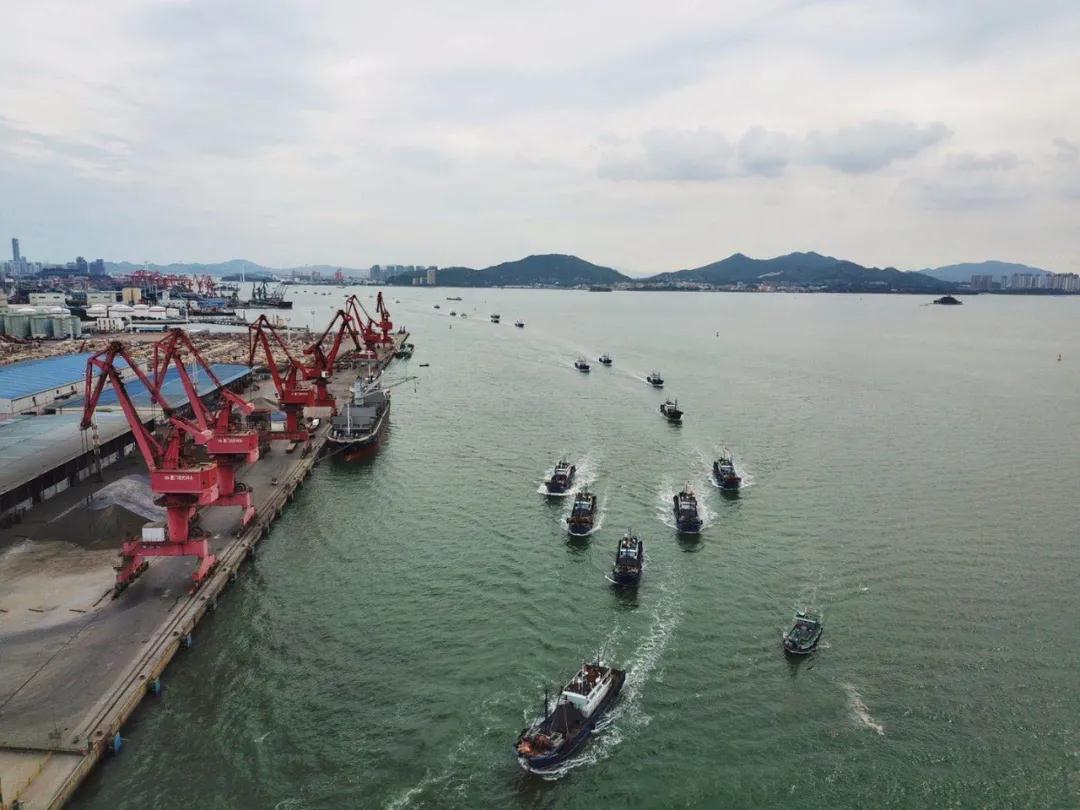 壮观!台风前的高崎避风港千帆列队