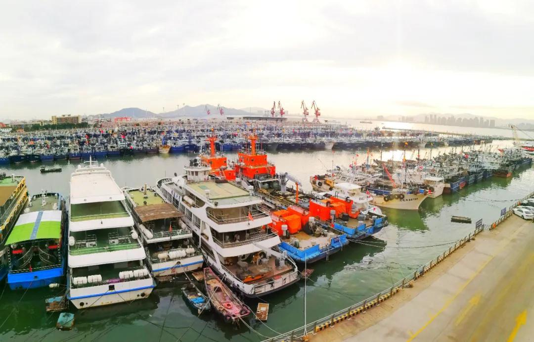 壮观!台风前的高崎避风港千帆列队